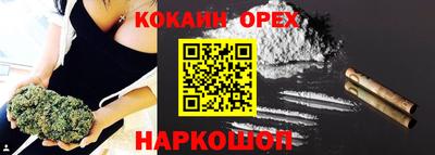 jwh Новозыбков