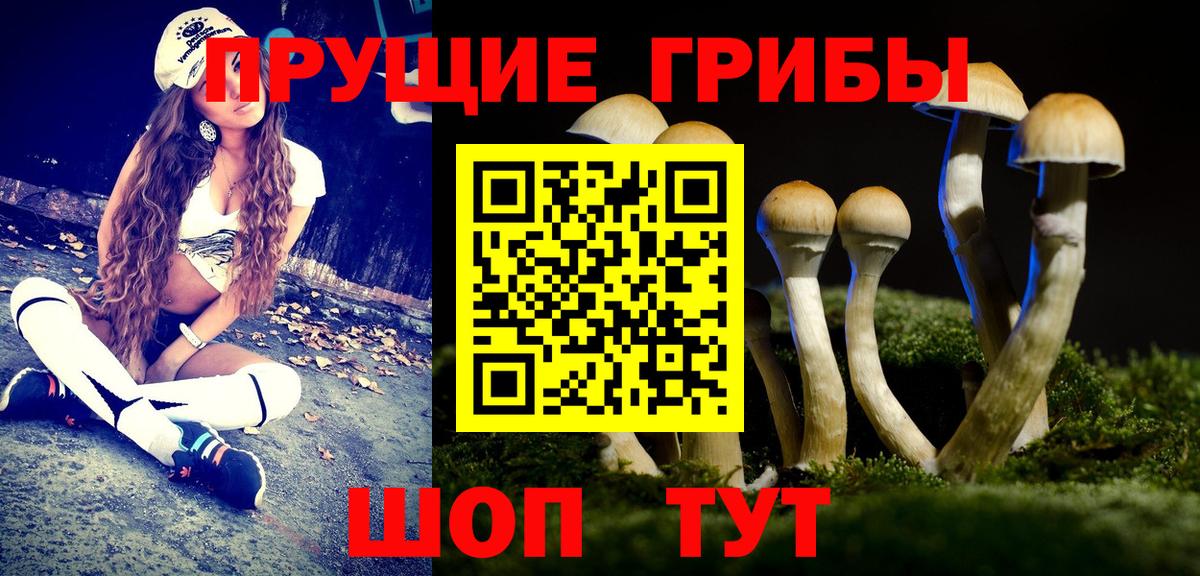 Галлюциногенные грибы GOLDEN TEACHER Свободный