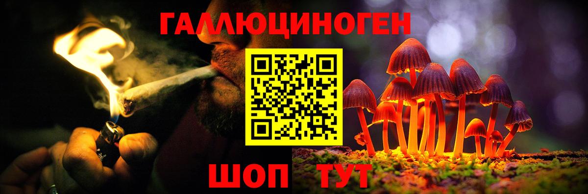 дарнет шоп  Галлюциногенные грибы Magic Shrooms  Вход с VPN  Свободный 